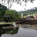 대가야박물관 이미지