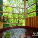 (주)재패니안 이미지