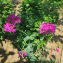 학산경로당 이미지