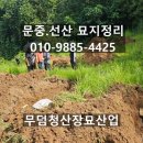 부여장묘관리
