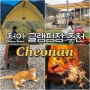 세븐일레븐 천안풍세산단점 | 서울근교 천안 글램핑 디디글램핑 가족캠핑 감성 데이트 추천 고양이 O