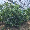 원소농장 이미지