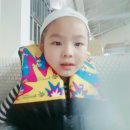 부룡합기도 이미지
