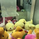 뽀끼뽀꼬 이미지