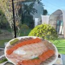 영흥로 | 🍣영흥도여행에서 신선한 회포장 제대로였던 공룡수산횟집 후기