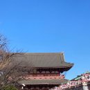 인형의 거리(쥐) 이미지