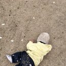 승마장 야외화장실 2 | 의정부 파크브리베 대형카페 21개월 아기랑 다녀온 솔직후기