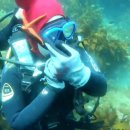 스마일 여관 이미지