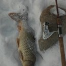 우리공구 이미지