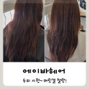 (주)에이바글로벌 | 송도 두피케어 후기 :) 에이바헤어 송도센트럴파크점 두피 스케일링
