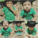 다솔농장 이미지