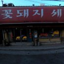 꽃돼지세상 이미지