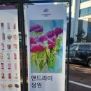 윤주영작가 어로프해븐 갤러리 개인전 이미지