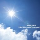 우림코스메틱
