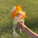 예쁘장이 | 웨딩촬영 조화부케 대여 후기 생화 대신 선택한 이유