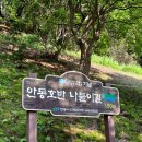 안동 월영교에서 감성 넘치는 불빛과 화려한 공연이 가득한 &#34;2023 안동 월영야행&#34; 축제 다녀온 솔직 후기