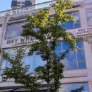 에코중앙로L 이미지