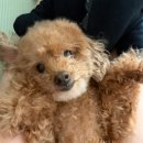 나은길외과의원 | 다산에이아이정형외과 방문 후기!![다산 정형외과/내 돈 내산/ 솔직 후기/저 금갔데요...]