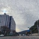 초읍동-05 이미지