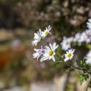 만추의 전원 | 대전 근교 여행 명소 논산 명재고택 만추 가을 단풍여행 가볼만한곳