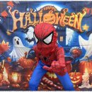 태비 태권도 이미지