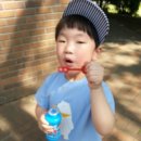 동촌성모유치원 이미지