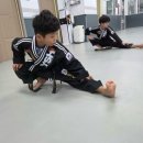 용인대서림합기도 이미지