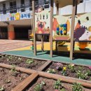 평화의샘유치원 이미지