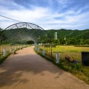 경천섬 주차장 공중화장실 네이버블로그