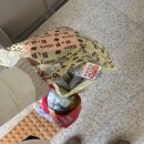 제트스팀충남지사 | 충남아산 입주청소 내돈내산 후기｜비포애프터 사진 공개