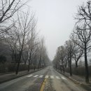 민플라워 이미지