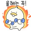 와일드복싱짐 안양관 이미지