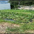 장안읍반룡리-74 이미지