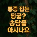 송담