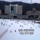 복지할인마트 | 홍천 비발디파크 이용 후기｜곤돌라·스노위랜드·카페·B동 마트 한번에 정리