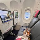 6817 | 아이슬란드 여행 :: 헬싱키-케플라비크 아이슬란드에어 AY6817편 후기 ✈️