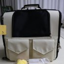 펫티즈 | 강아지 이동 가방 백팩 모드니펫 앞 가방 라지 L 내돈내산 후기