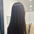 라임헤어 이미지