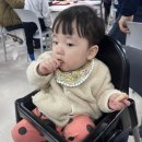 숑숑돈까스 롯데마트서산점