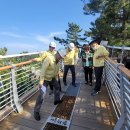 동해시-10 이미지