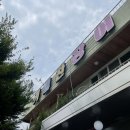 기통찬장어 이미지