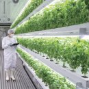 오병이어농장 이미지