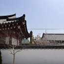 배동스테이 이미지