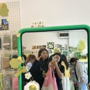 다시안국