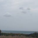 돌고래부동산공인중개사사무소 이미지