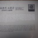 초촌리 고분군 이미지