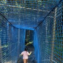 대오팜 | 사천케이블카자연휴양림 네트포레 후기 및 주의사항