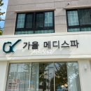 가율메디스파