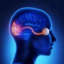 수년복싱체육관 이미지