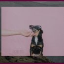 마하생태관광지 이미지